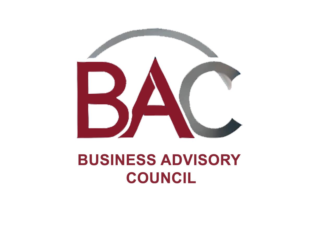 المجلس الاستشاري للأعمال (BAC): رؤية لدعم التنافسية في مصر