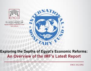 Exploring the Depths of Egypt's Economic Reforms: An Overview of the IMF's Latest Report
