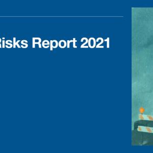 The Global Risks Report 2021