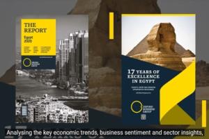 Highlights from The Report: Egypt 2020
