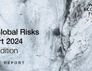 The Global Risks Report 2024: Understanding the Challenges Ahead for Egypt and the MENA Region